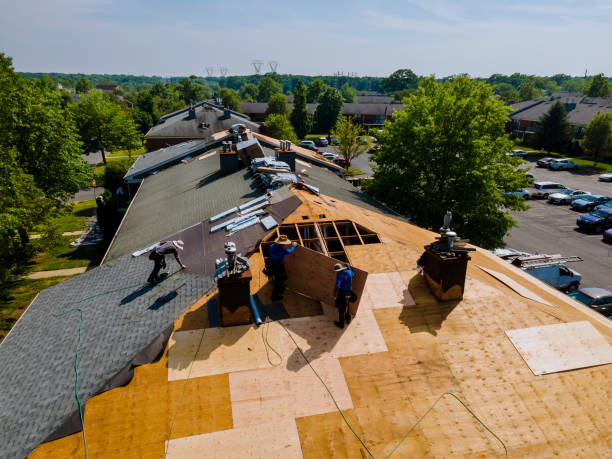 Best Storm Damage Roof Repair  in Glespie, IL